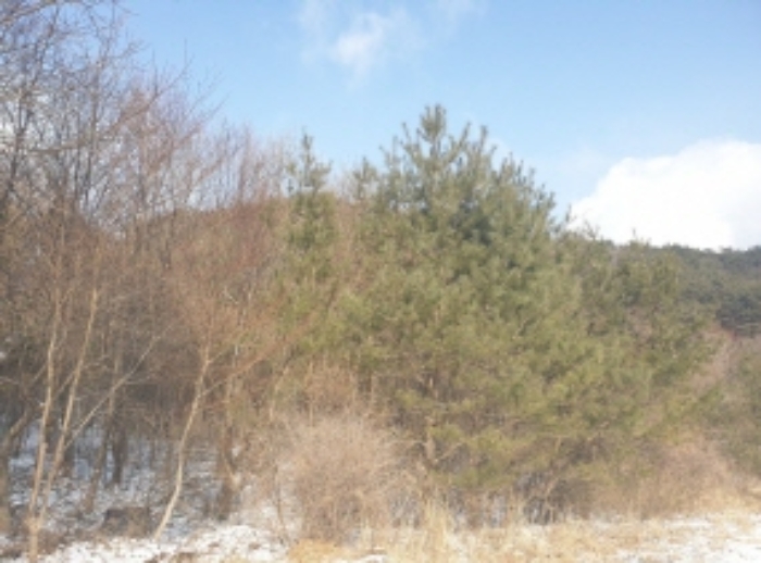 물건 사진 85