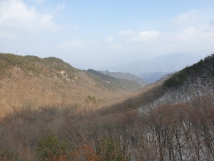 물건 사진 94