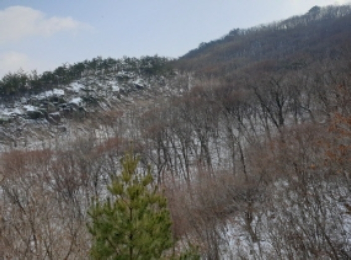 물건 사진 95