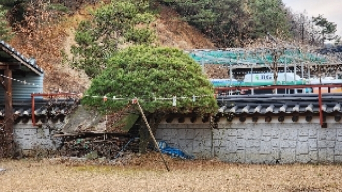 물건 사진 17