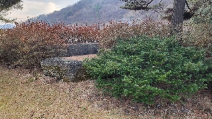물건 사진 41