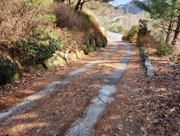 물건 사진 74