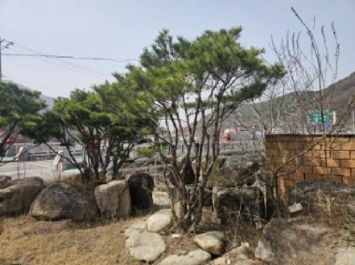 물건 사진 30