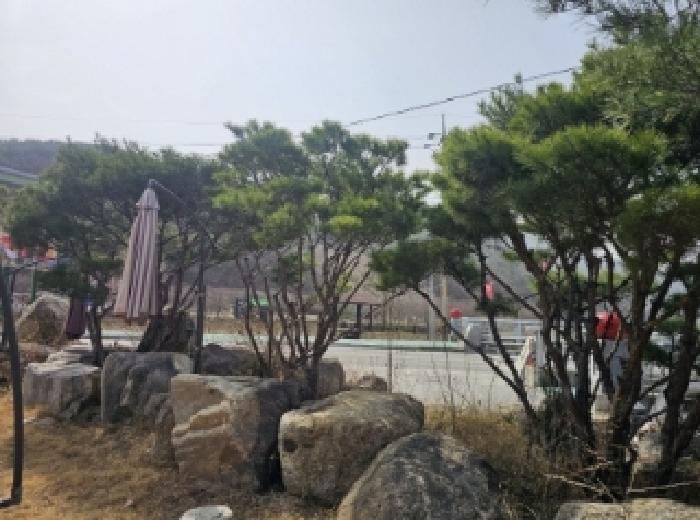 물건 사진 31