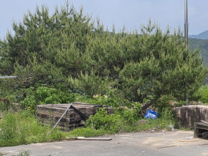 물건 사진 26