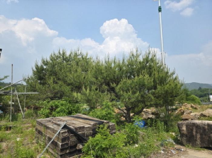 물건 사진 27