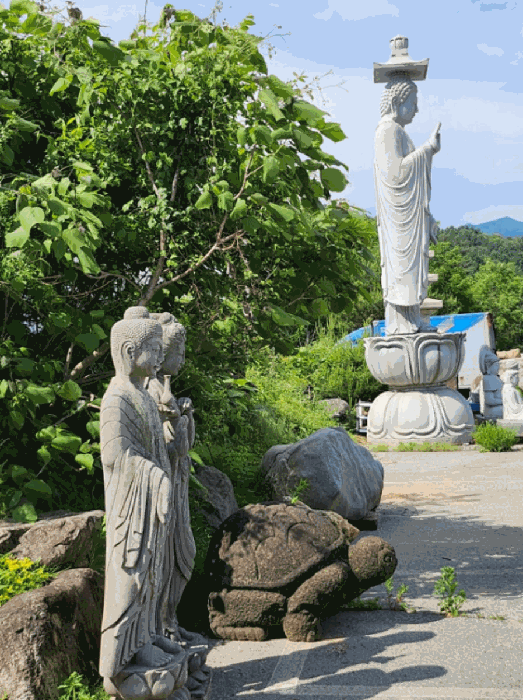 물건 사진 56