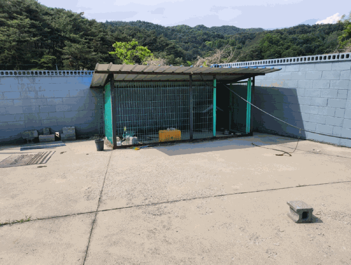 물건 사진 65