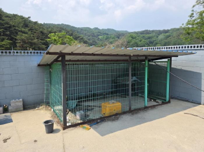 물건 사진 9