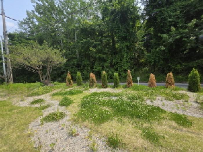 물건 사진 4