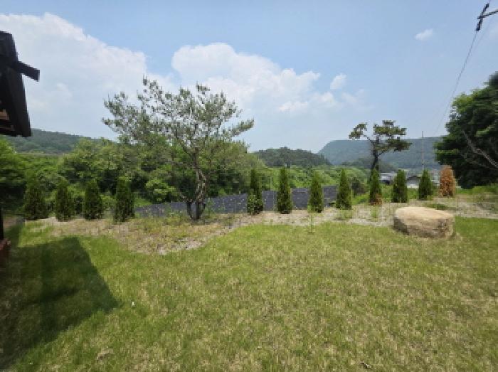 물건 사진 5