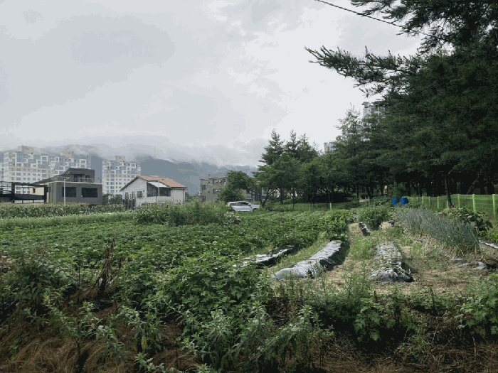 물건 사진 6