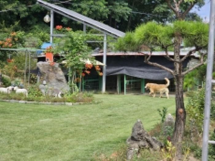 물건 사진 9