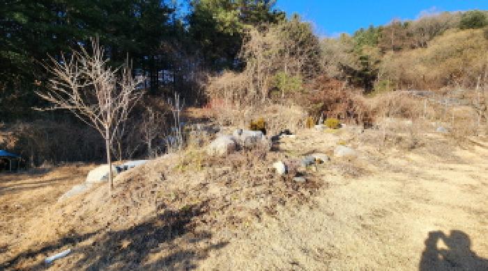 물건 사진 14