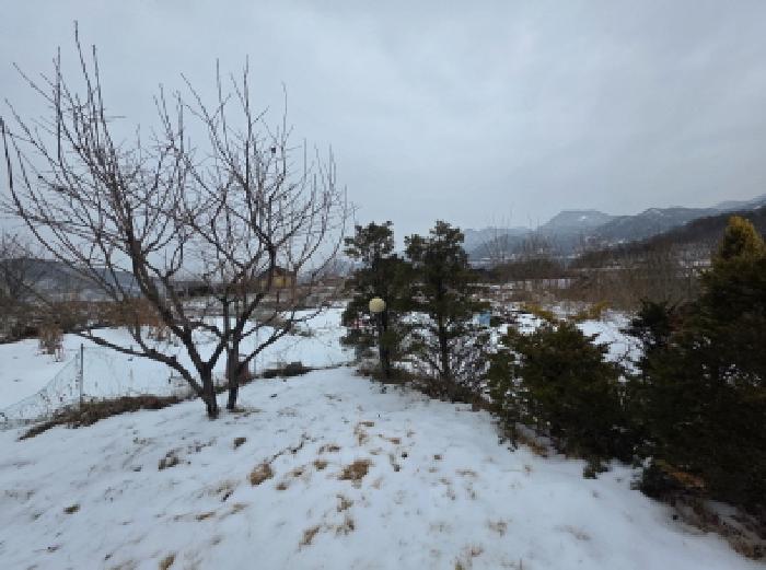 물건 사진 3