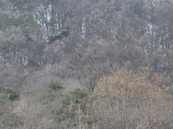 물건 사진 22