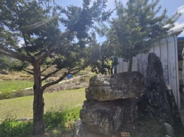 물건 사진 16