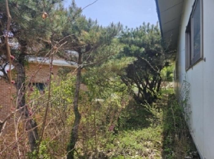 물건 사진 24