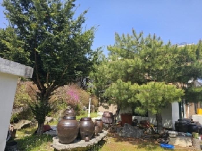 물건 사진 4