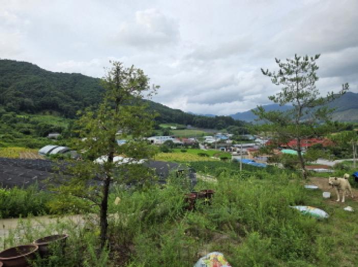 물건 사진 22