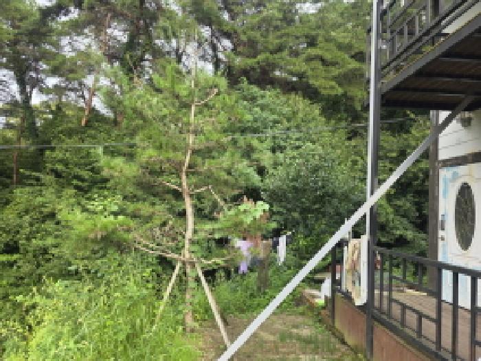 물건 사진 23