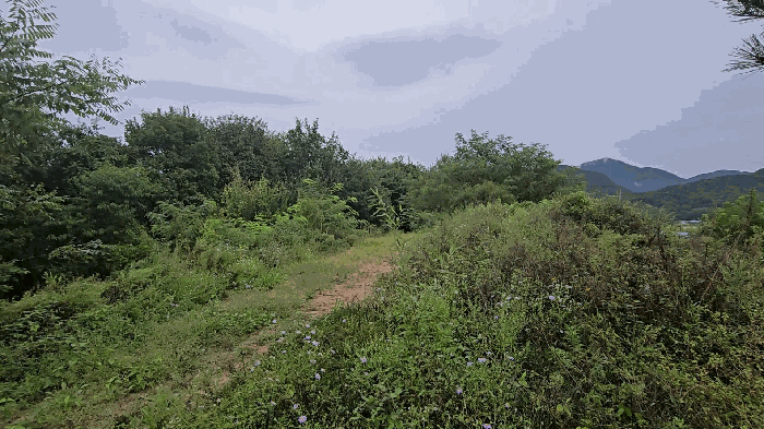 물건 사진 34