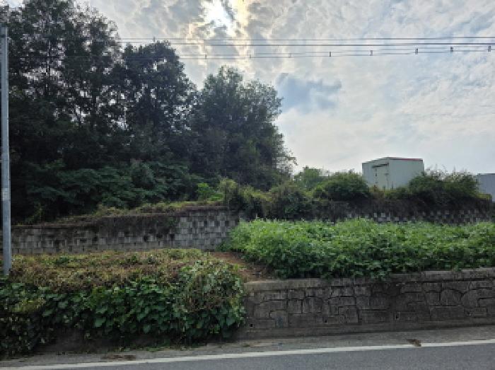 물건 사진 6