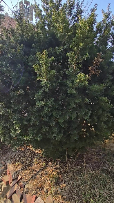 물건 사진 24