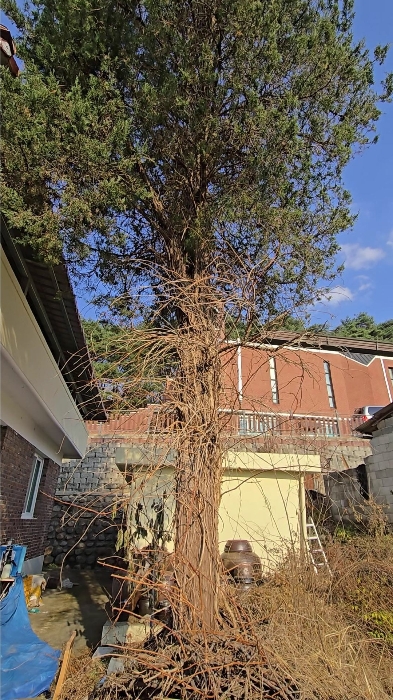 물건 사진 25