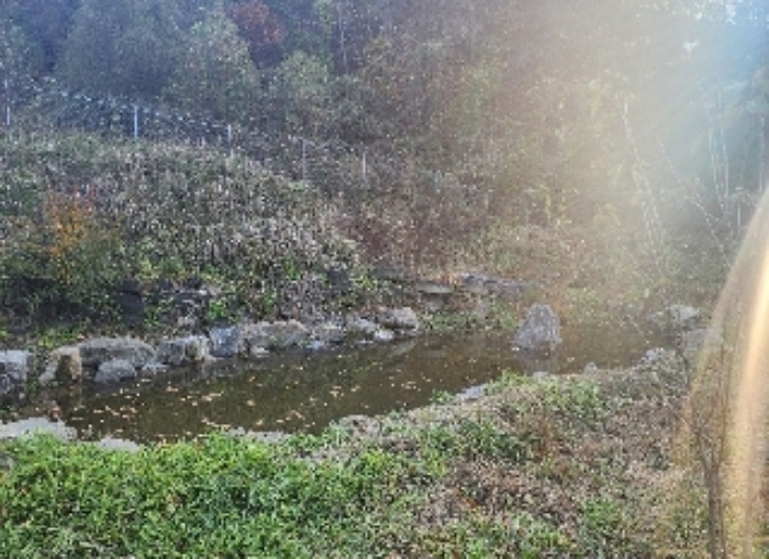 물건 사진 15