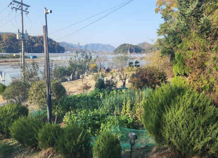 물건 사진 16