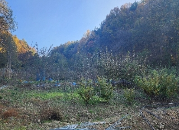 물건 사진 4