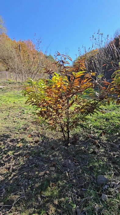 물건 사진 32