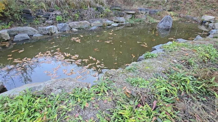 물건 사진 34