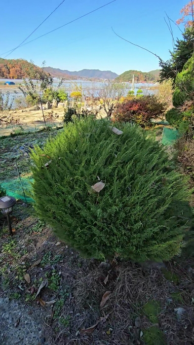 물건 사진 36