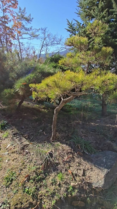 물건 사진 60