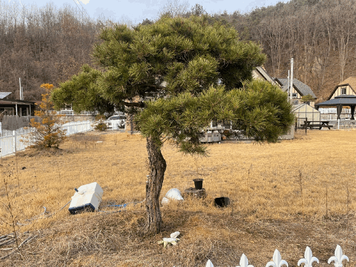 물건 사진 11