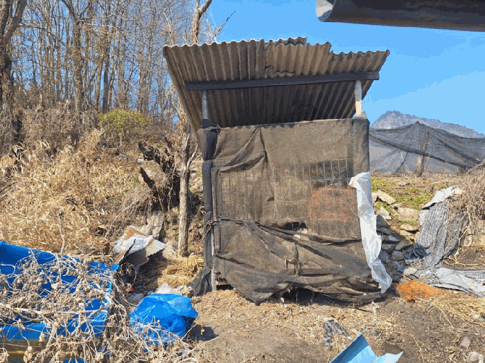 물건 사진 13