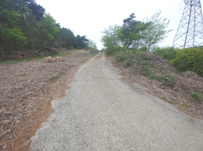 물건 사진 135