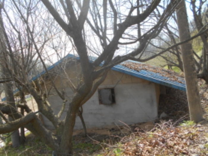 물건 사진 16