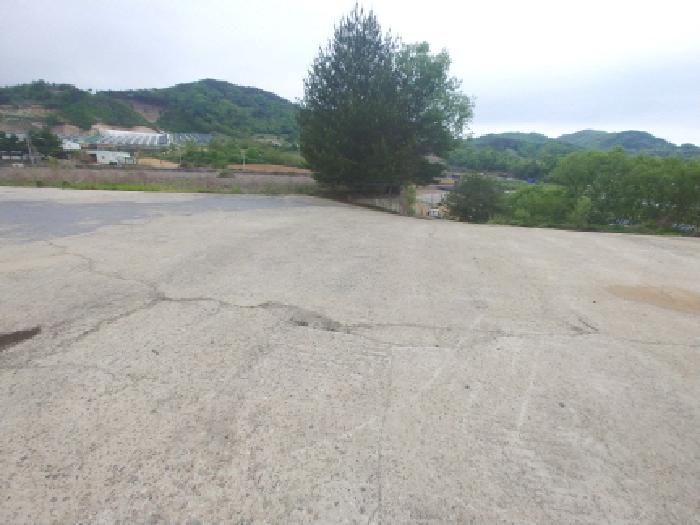 물건 사진 154
