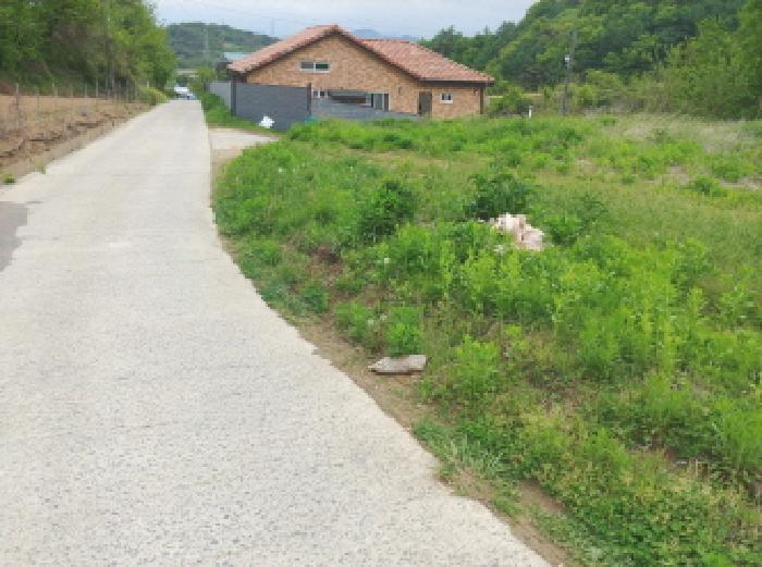 물건 사진 168