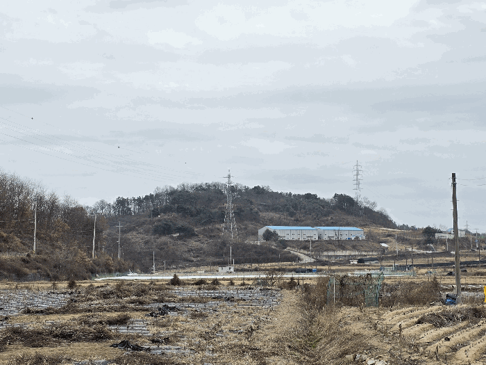 물건 사진 214