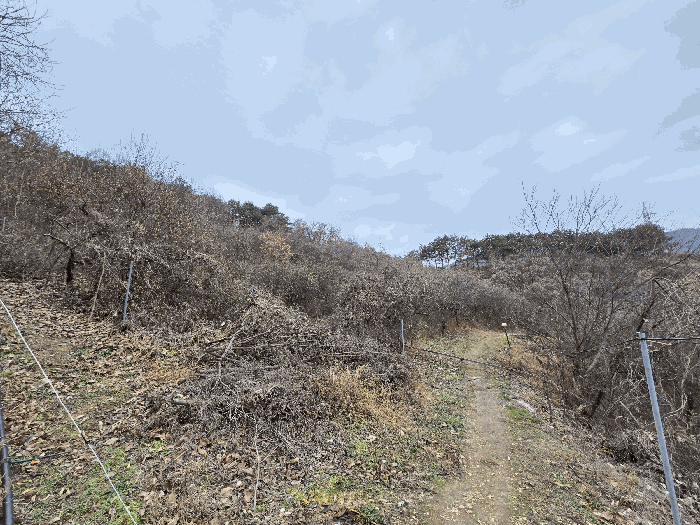 물건 사진 227