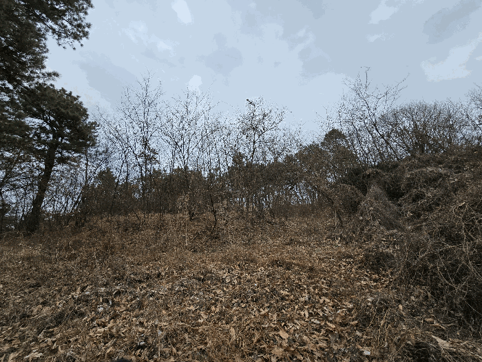 물건 사진 228