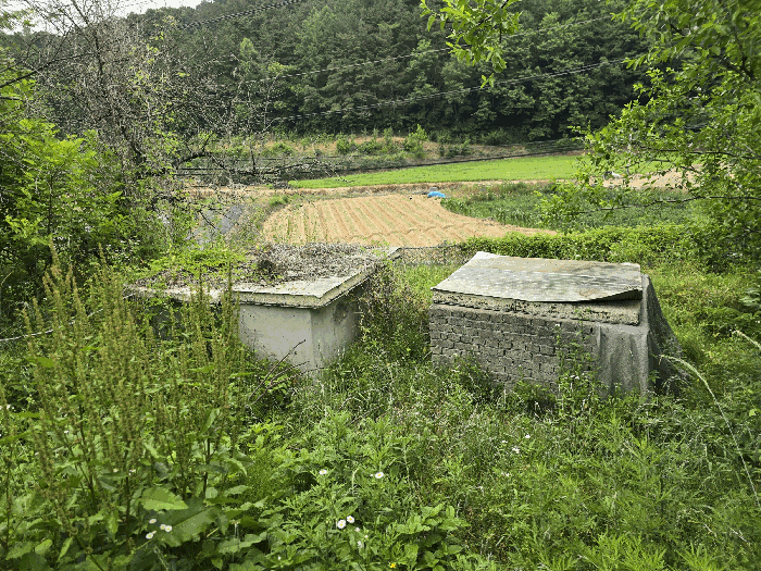물건 사진 231