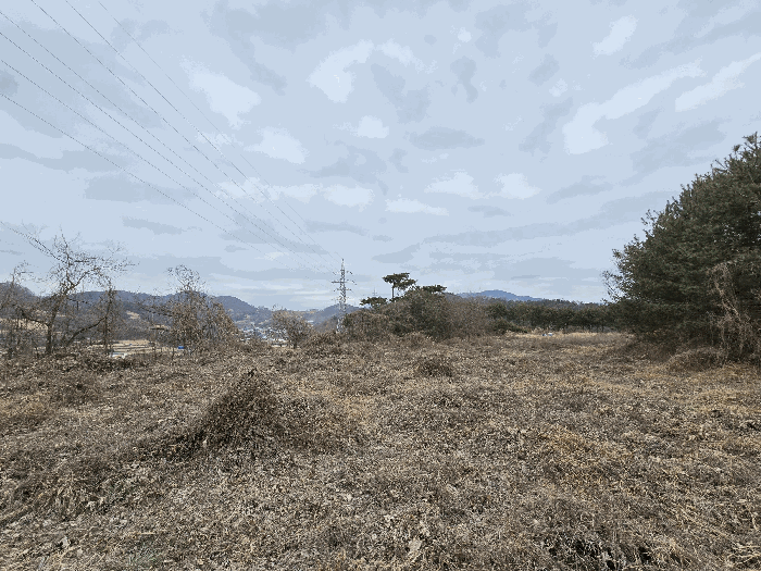 물건 사진 236