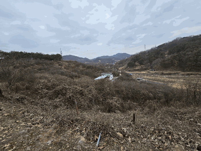 물건 사진 238