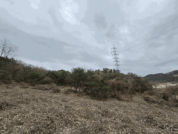 물건 사진 239