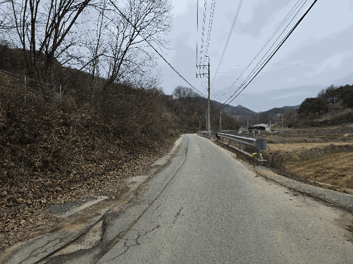 물건 사진 245